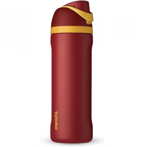 Owala Harry Potter FreeSip Insulated Stainless Steel Water Bottle with Straw