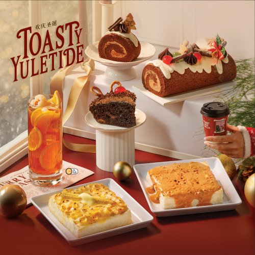 Try Special Christmas Cake Set