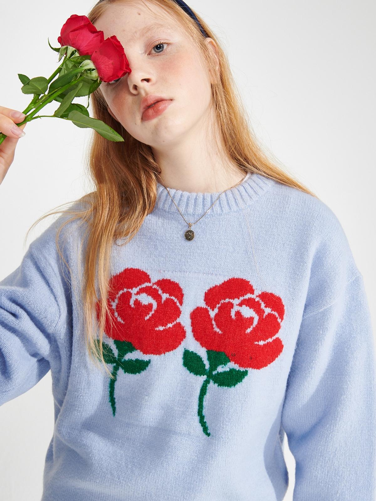 Wonder Visitor x Logo Aps Knitted Sweatshirt - Light Blue