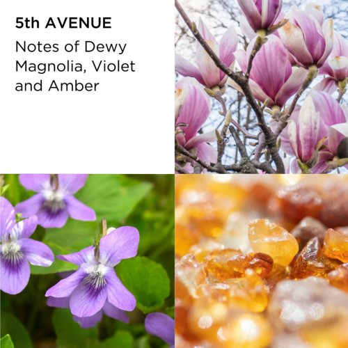  5th Avenue 125ml 3 Piece Fragrance Gift Set 