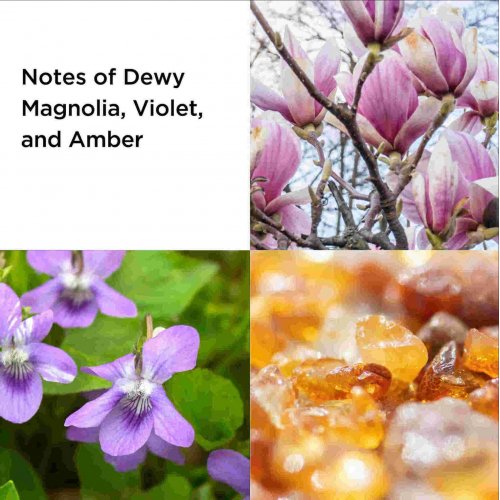 5th Avenue 125ml Eau de Parfum 2-piece Set 