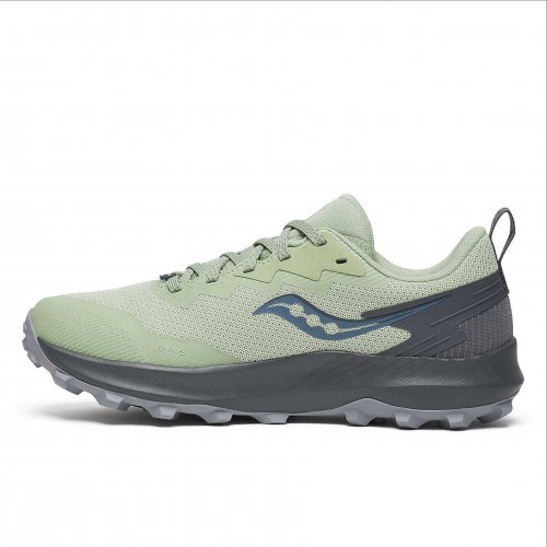  Women's Peregrine 14 GTX