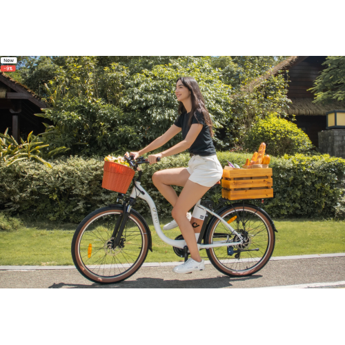 DYU C6 Pro 26 Inch City Electric Bike