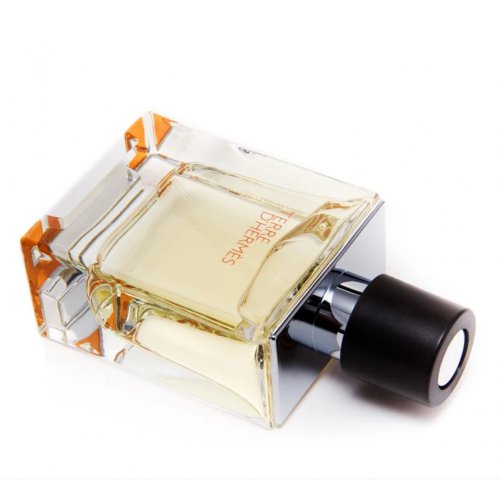 Hermes Terre D'Hermès Eau De Toilette Natural Spray For Men