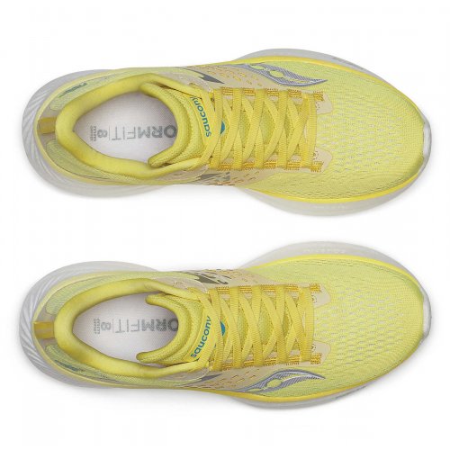  Women's Ride 17 -  Finch | Gum