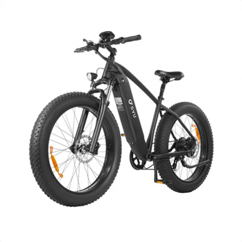 King 750 26 Inch FatTire EBike