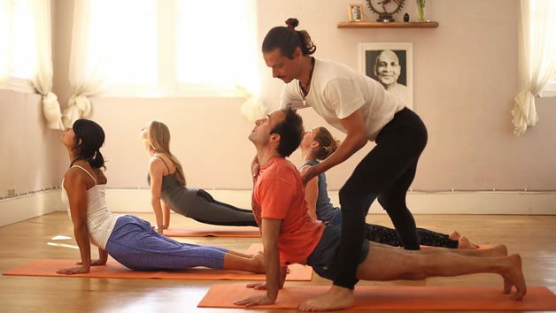 Yoga Day Retreat for Two at Yoga Tree of Life