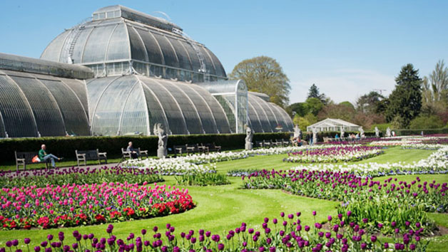 Entry to Kew Gardens and Palace for One Person