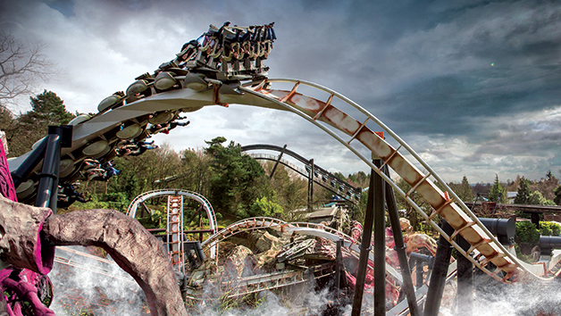 One Merlin Thrilling Theme Park Ticket