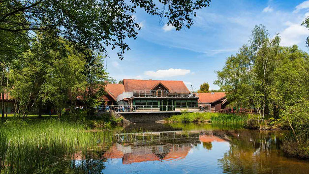 Chevin Tranquillity Spa Day with 100 Minutes of Treatment, Afternoon Tea and Fizz for Two