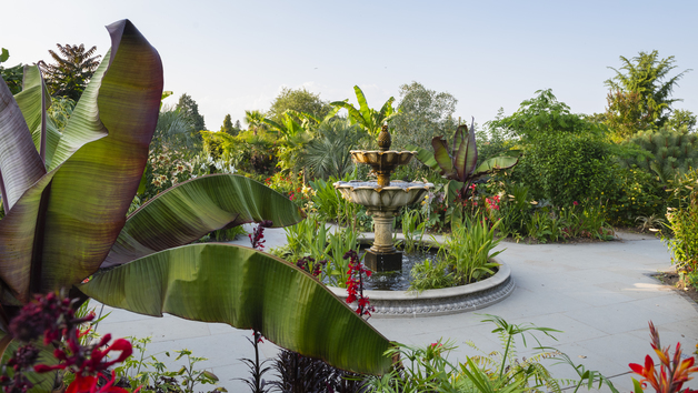 Visit to RHS Garden Wisley for Two