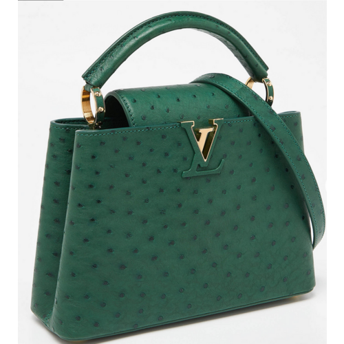 Louis Vuitton Green Ostrich