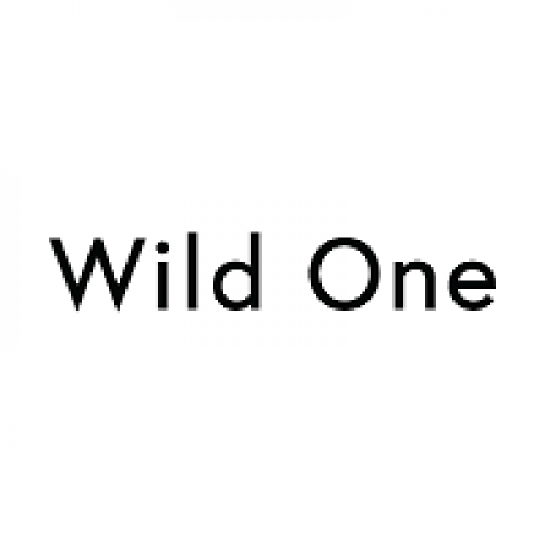 15% OFF Toys (Excl. Toy Kit)