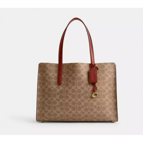 Carter Carryall Bag In Signature Canvas